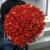 Букет 101 пламенная роза (60 см) в Красноармейске Букет 101 пламенная роза (60 см) в Красноармейске