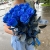 15 синих LUX роз Эквадор (70 см) в Красноармейске 15 синих LUX роз Эквадор (70 см) в Красноармейске