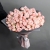 Букет из 25 кустовых роз Мадам Бомбастик (50 см) в Красноармейске