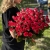 Букет из 51 рубиновой розы (50 см) в Красноармейске Букет из 51 рубиновой розы (50 см) в Красноармейске