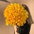 Букет "Ярче солнца" из 55 лимонных роз (50 см) в Красноармейске Букет "Ярче солнца" из 55 лимонных роз (50 см) в Красноармейске