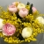 Букет "Маффин" из ранункулюсов и мимозы в Красноармейске Букет "Маффин" из ранункулюсов и мимозы в Красноармейске