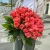 Букет 51 роза коралл (60 см) в Красноармейске Букет 51 роза коралл (60 см) в Красноармейске