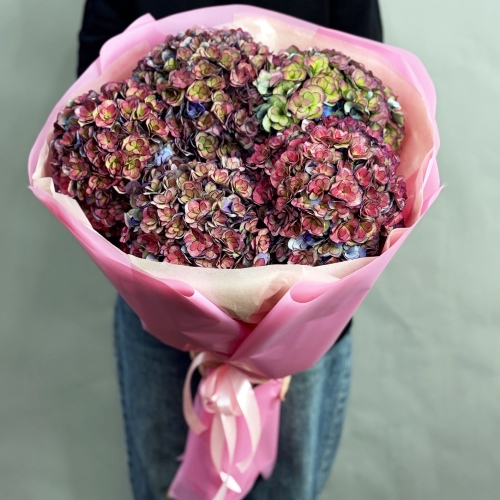 Букет из 5 космических Голландских гортензий в Красноармейске