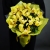 Букет из 13 лимонных орхидей в Красноармейске Букет из 13 лимонных орхидей в Красноармейске