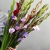 Букет из 25 гладиолусов микс в Красноармейске Букет из 25 гладиолусов микс в Красноармейске