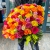 Букет 151 роза сочный микс (50 см) в Красноармейске Букет 151 роза сочный микс (50 см) в Красноармейске