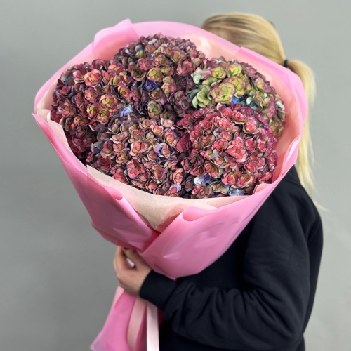 Букет из 5 космических Голландских гортензий в Красноармейске